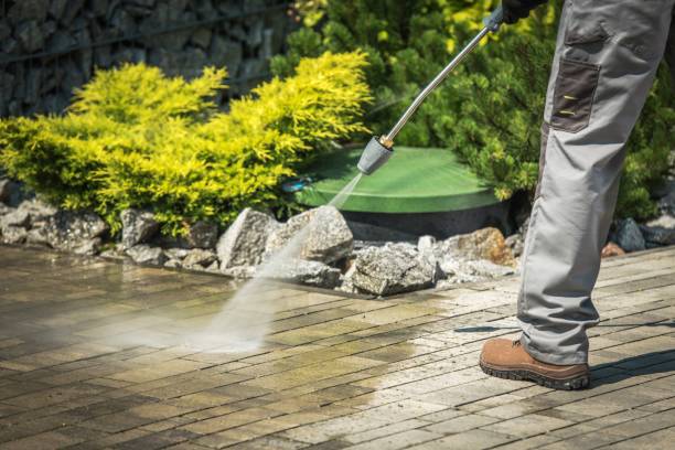 Best Pre-Holiday Cleaning  in Montverde, FL